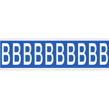 CNL1B B