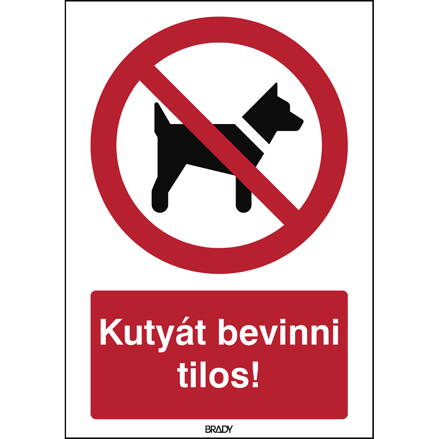 STHU P021-297x420-PP-CRD/1