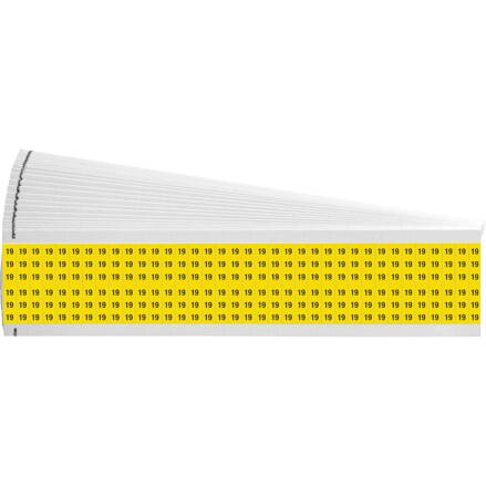 WM-19-YL-PK