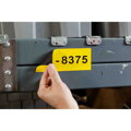 Brady B30C-2500-509-YL 117919