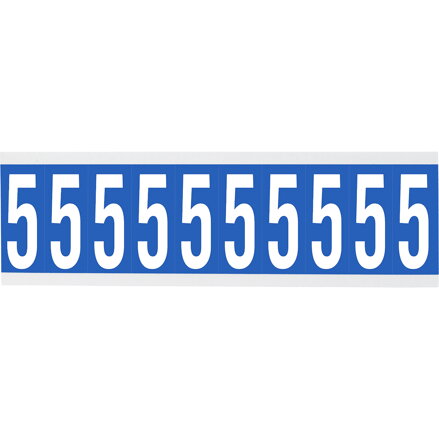 CNL1B 5