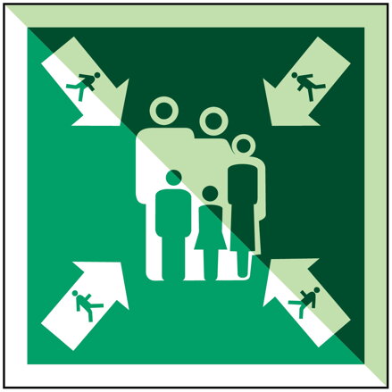 E/IMO320-PP-PHOLUMB-150x150/1-B