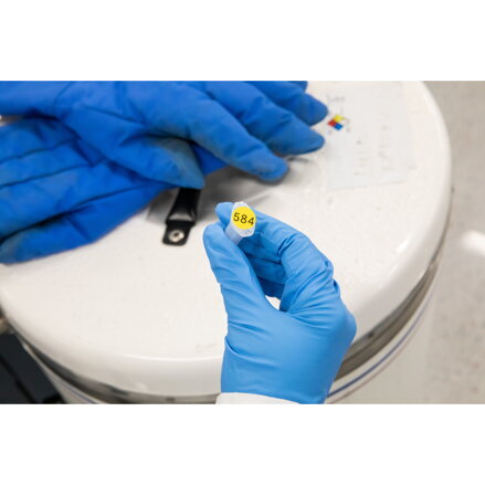 M-83-499-YL-BK