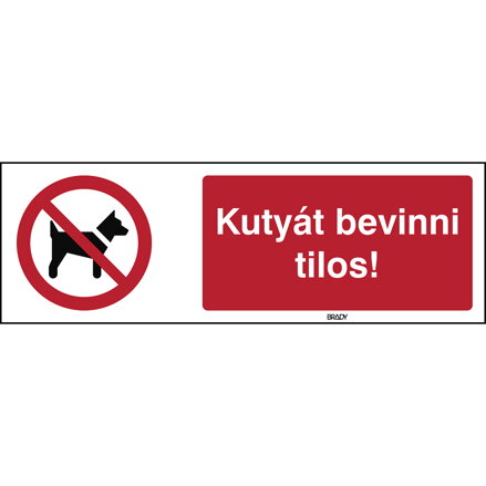 STHU P021-600x200-PP-CRD/1