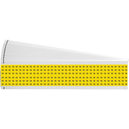 WM-19-YL-PK