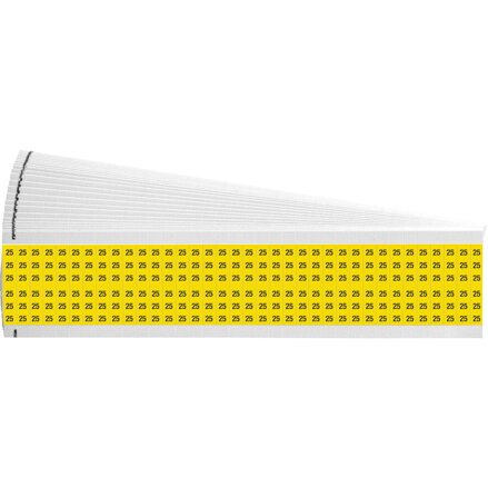 WM-25-YL-PK