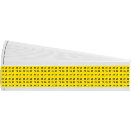WM-28-YL-PK