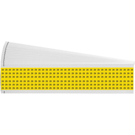 WM-29-YL-PK
