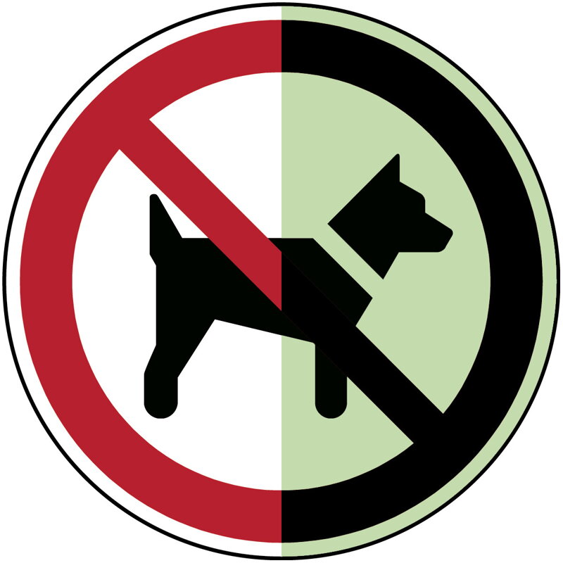 P/P021/NT-PP-PHOLUMC-Dia 150/1-B